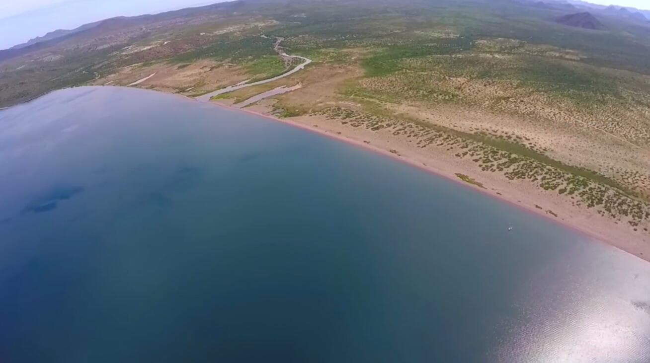 Bahía de Concepción