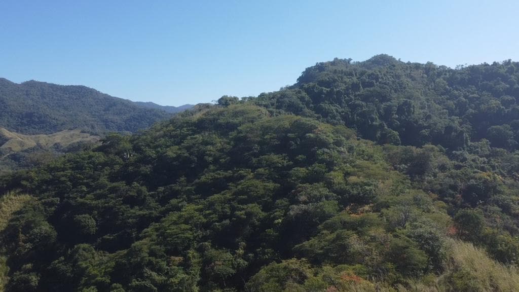 Las Piñas