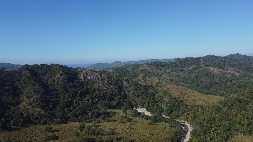 Las Piñas