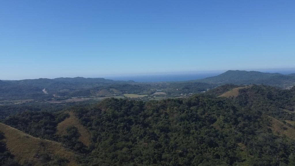 Las Piñas