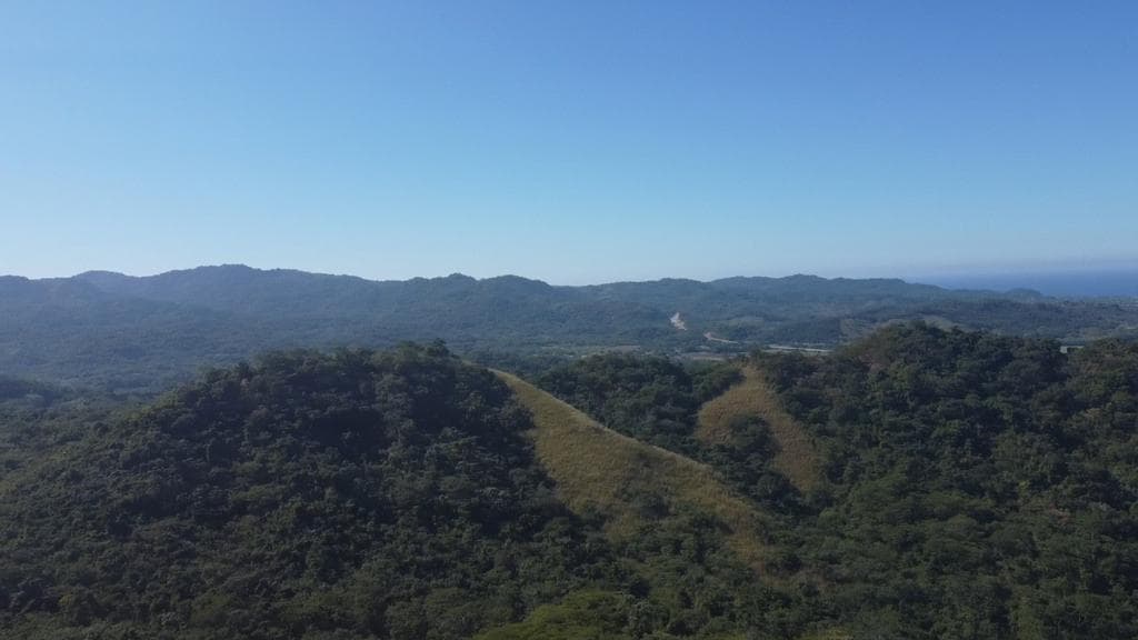 Las Piñas