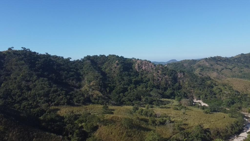 Las Piñas