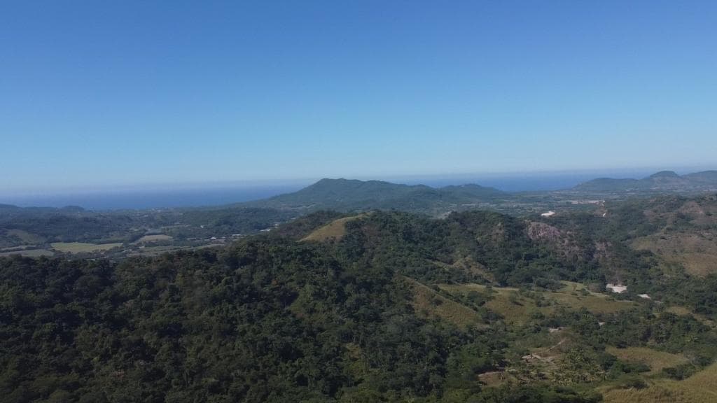 Las Piñas