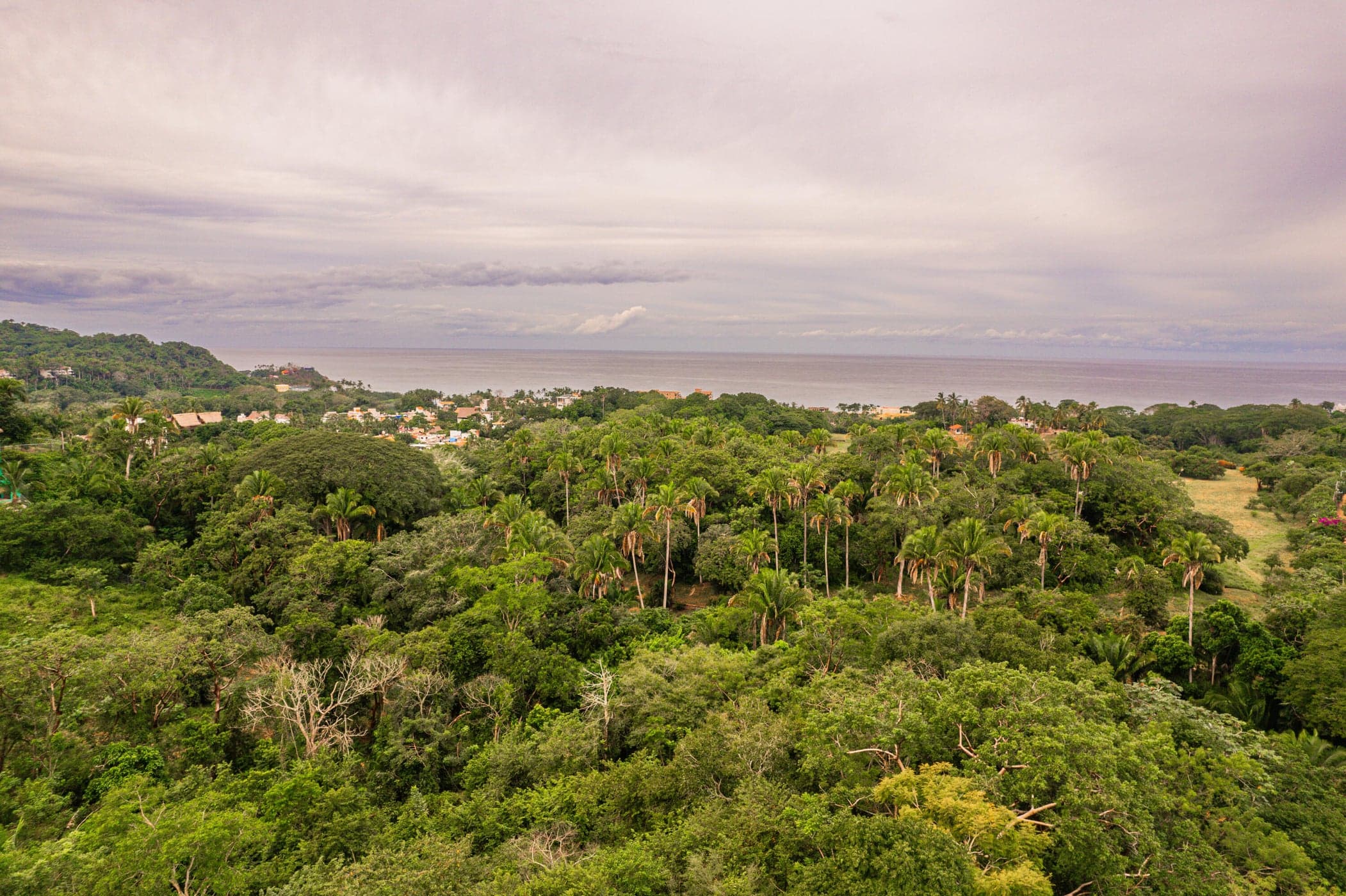 LAS VISTAS