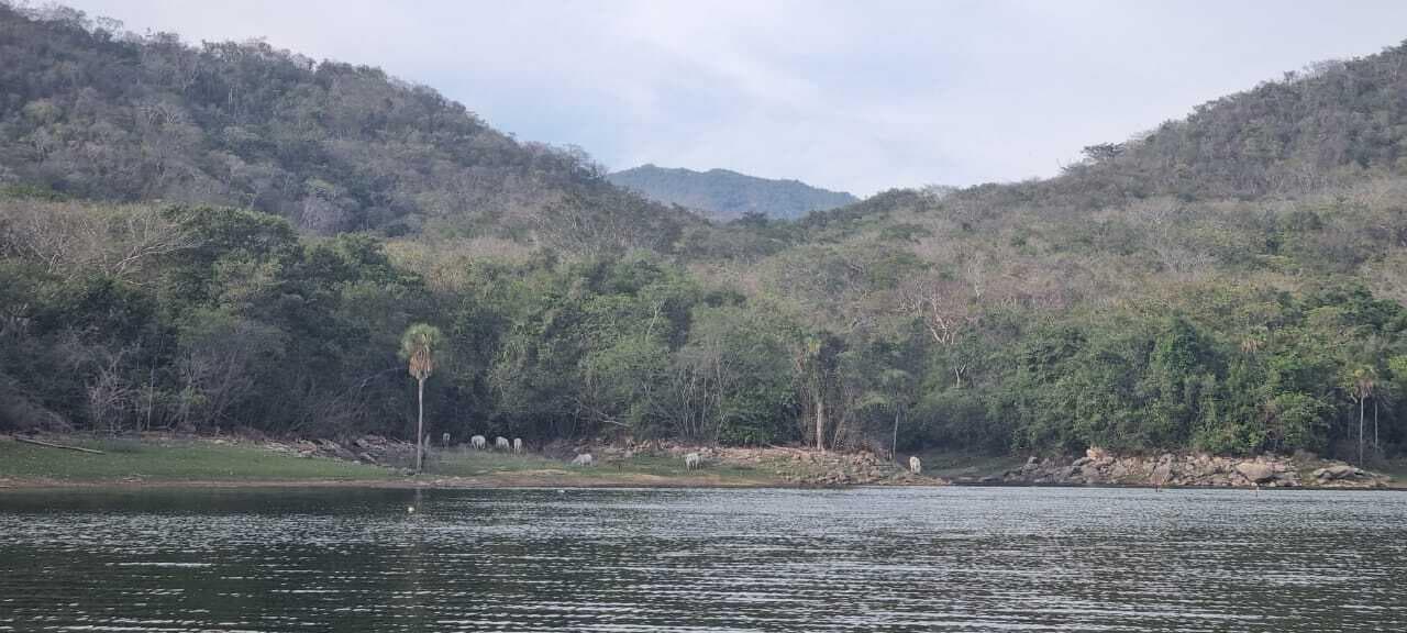 LOTE PUNTA CAJON  FRACCION C