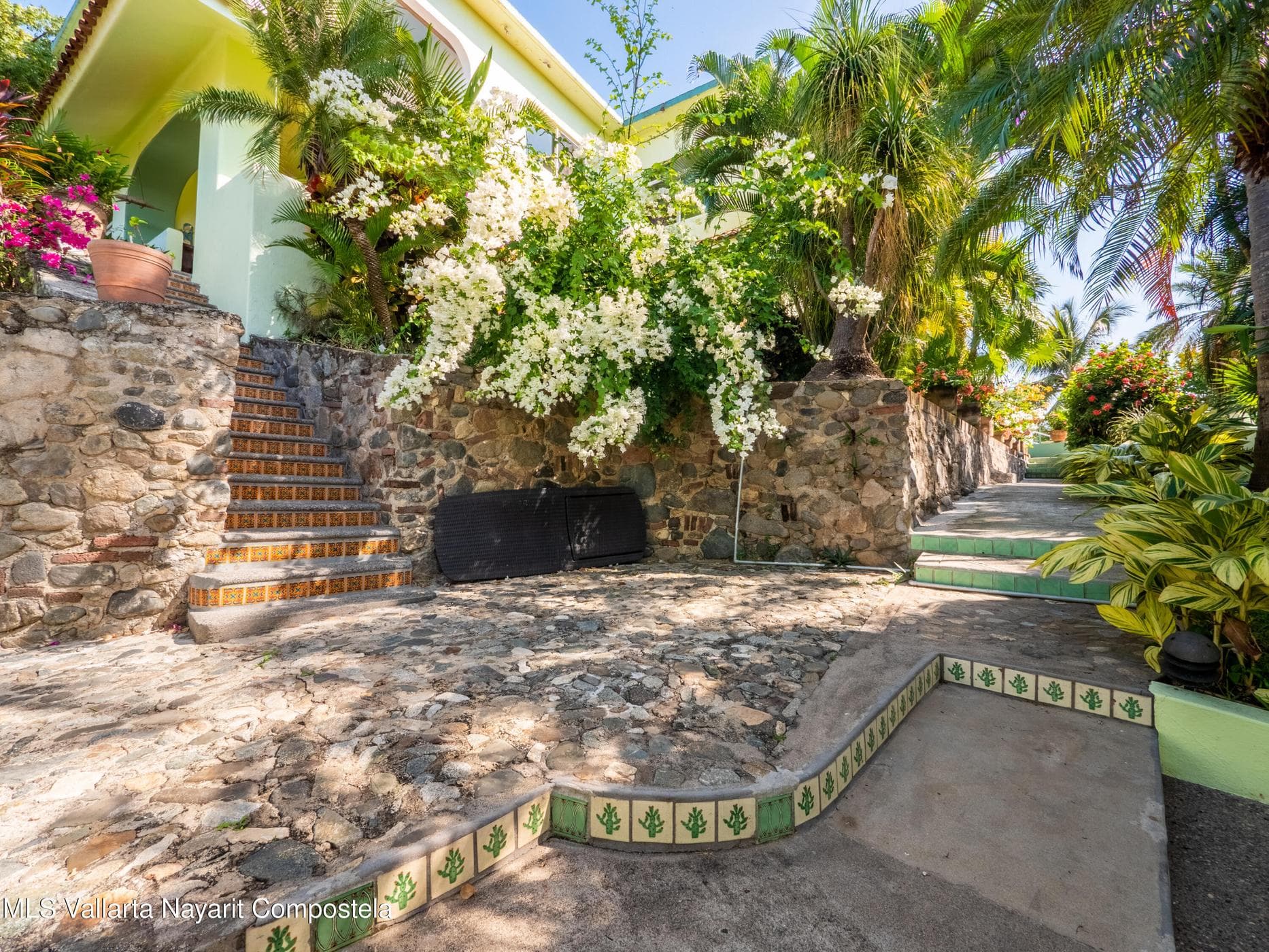 Oasis on the Hill