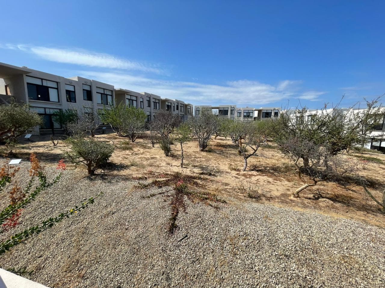 Vista Cortes
