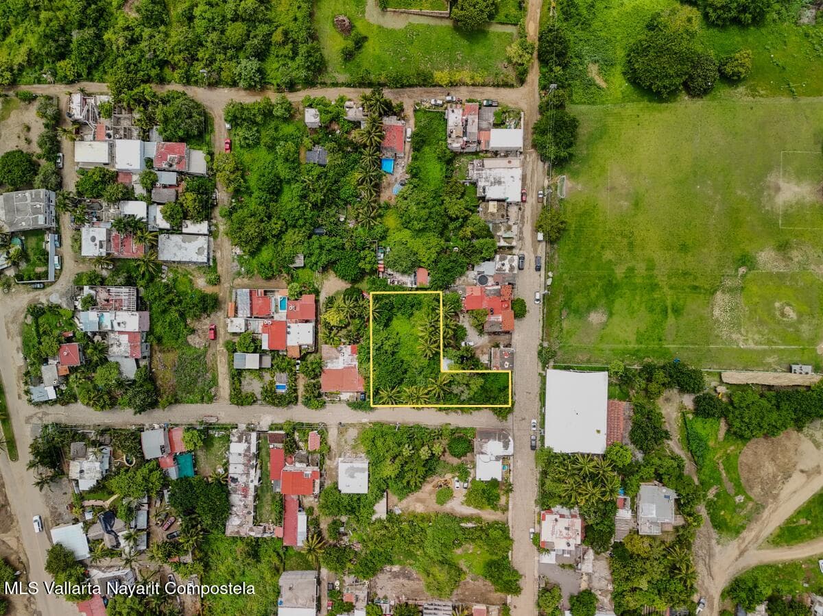 Lote Higuera Blanca
