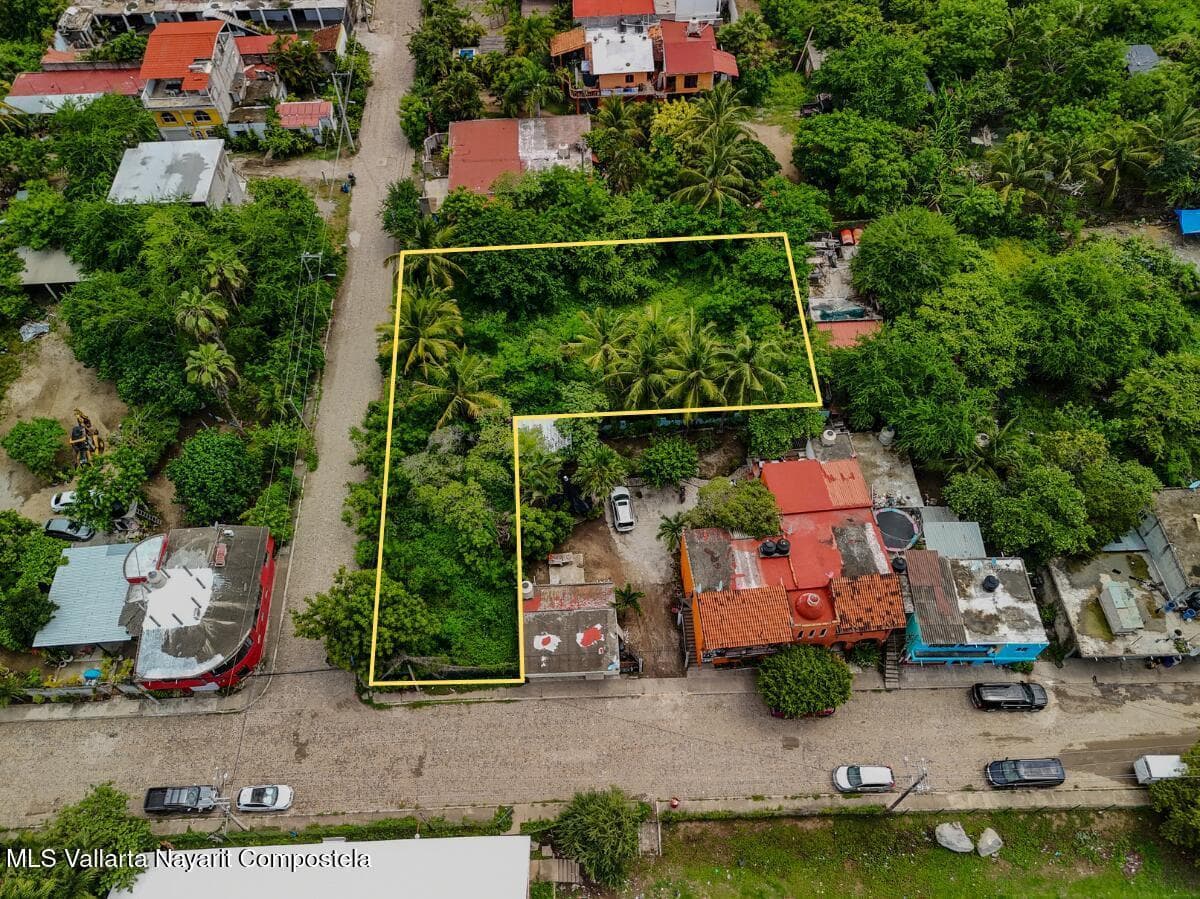 Lote Higuera Blanca