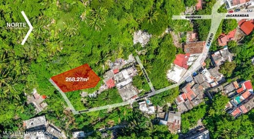 Lote Cuauhtemoc