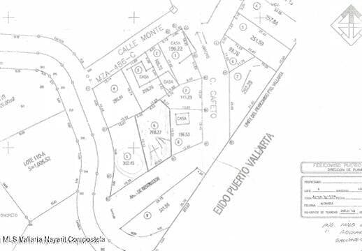 Lote Cuauhtemoc
