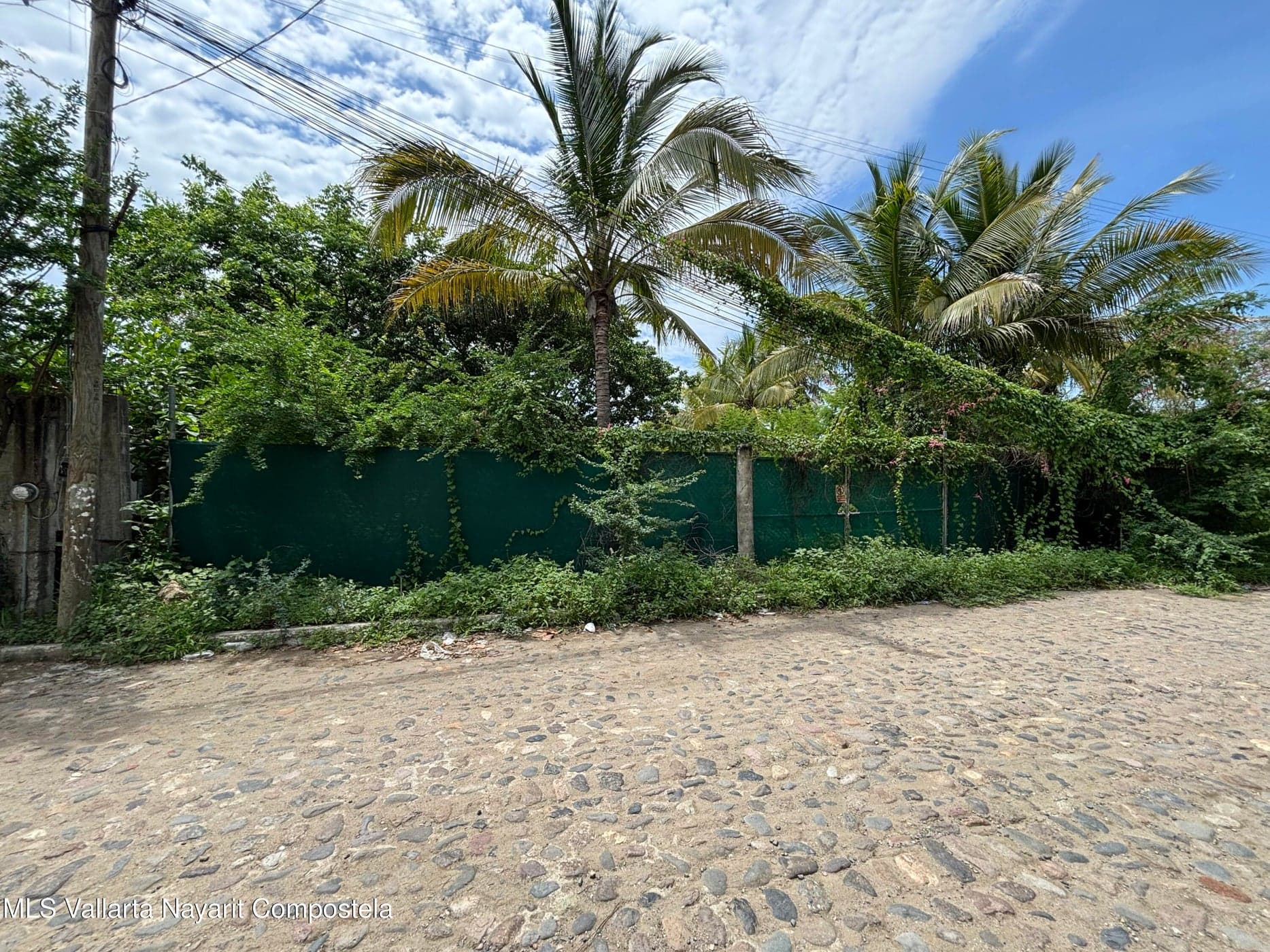 Lote Higuera Blanca