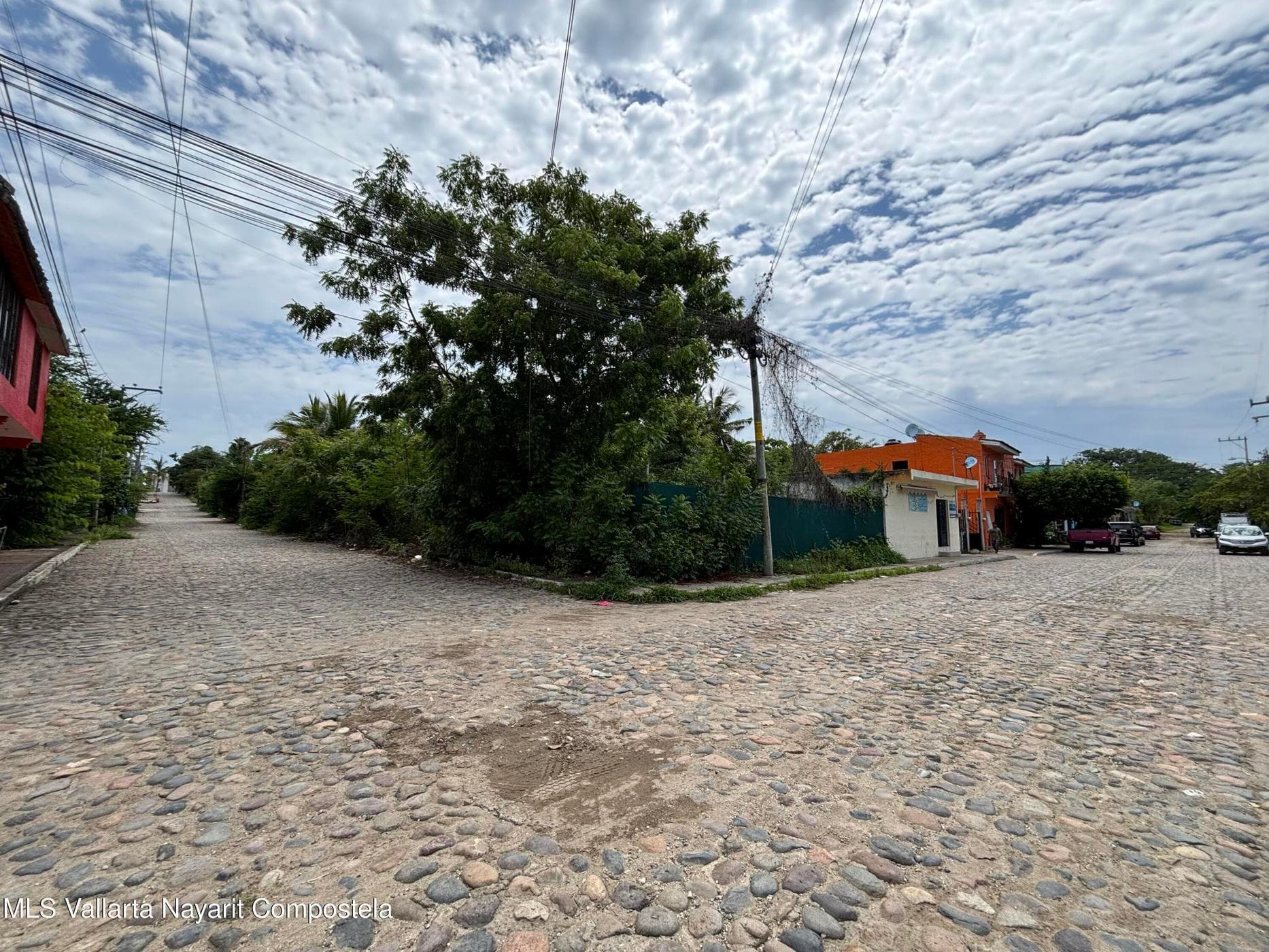 Lote Higuera Blanca