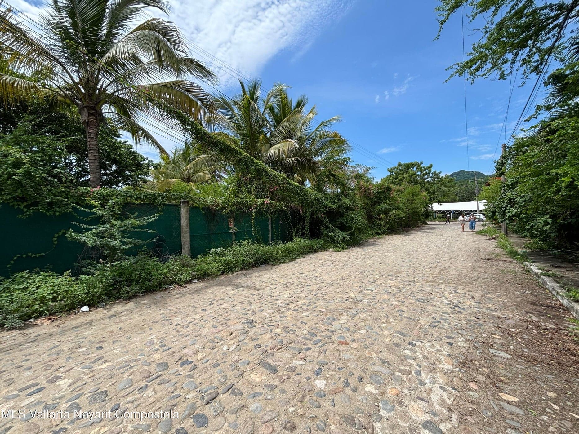 Lote Higuera Blanca