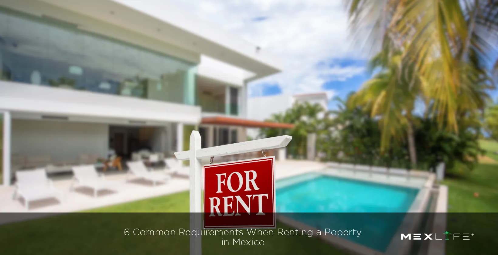 6 Common Requirements When Renting a Property
