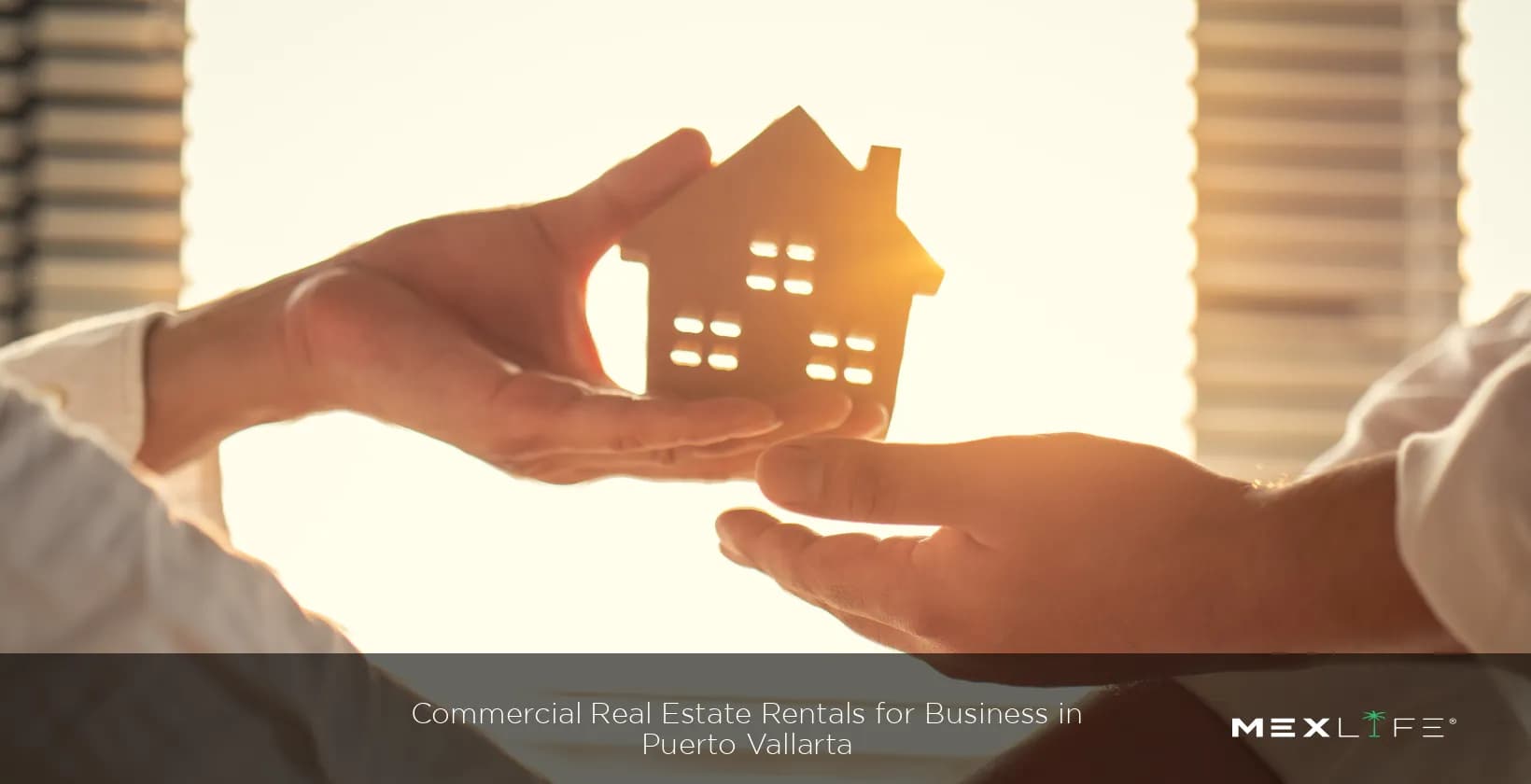 Rentals for Business