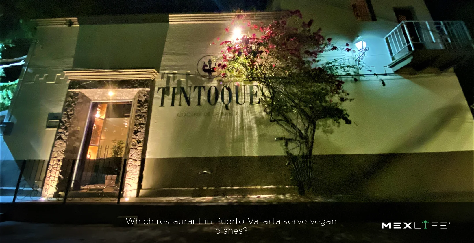 Puerto Vallarta Serving Vegan Dishes