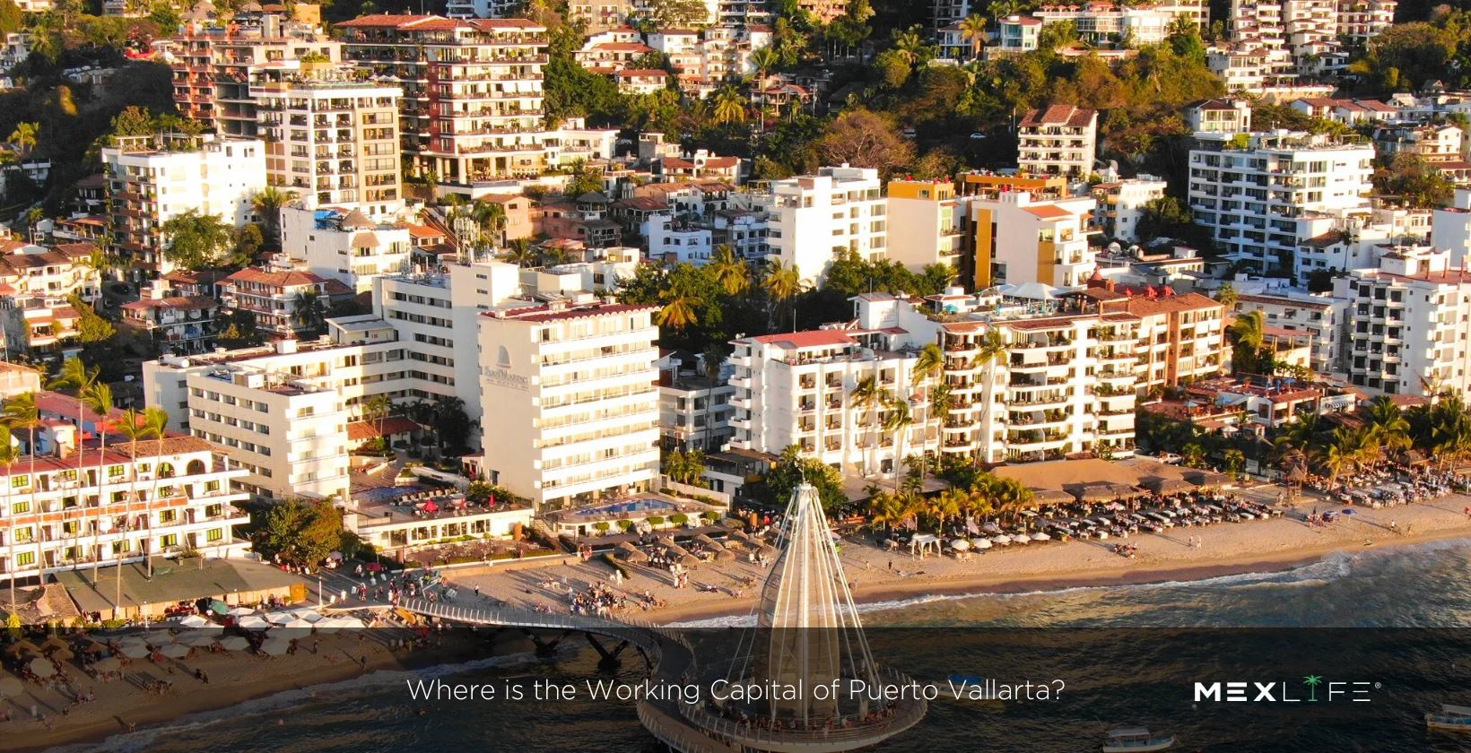 Puerto Vallarta Working Capital