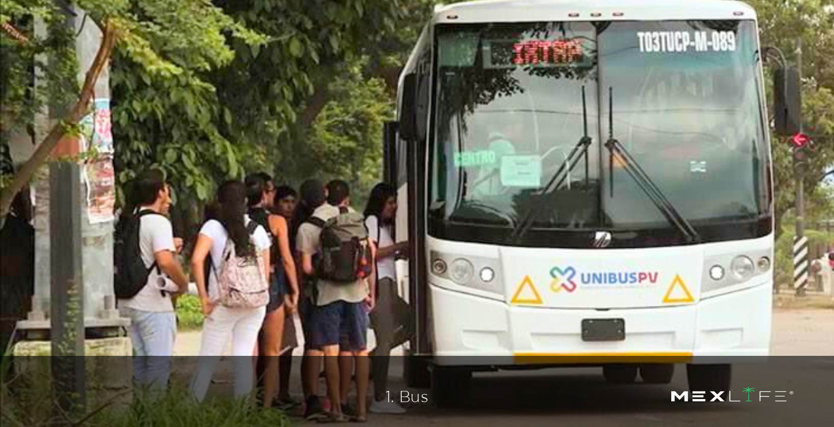 Puerto Vallarta Bus
