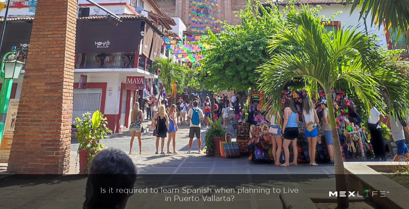 Requirement to learn Spanish for living in Puerto Vallarta